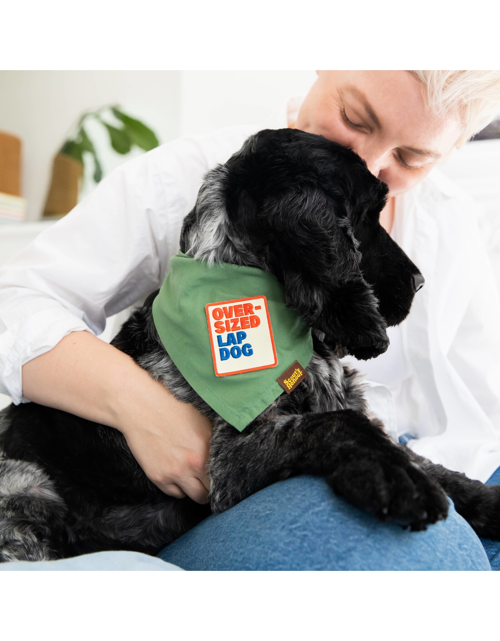 Skout's Honor Oversized Lap Dog Merit Badge