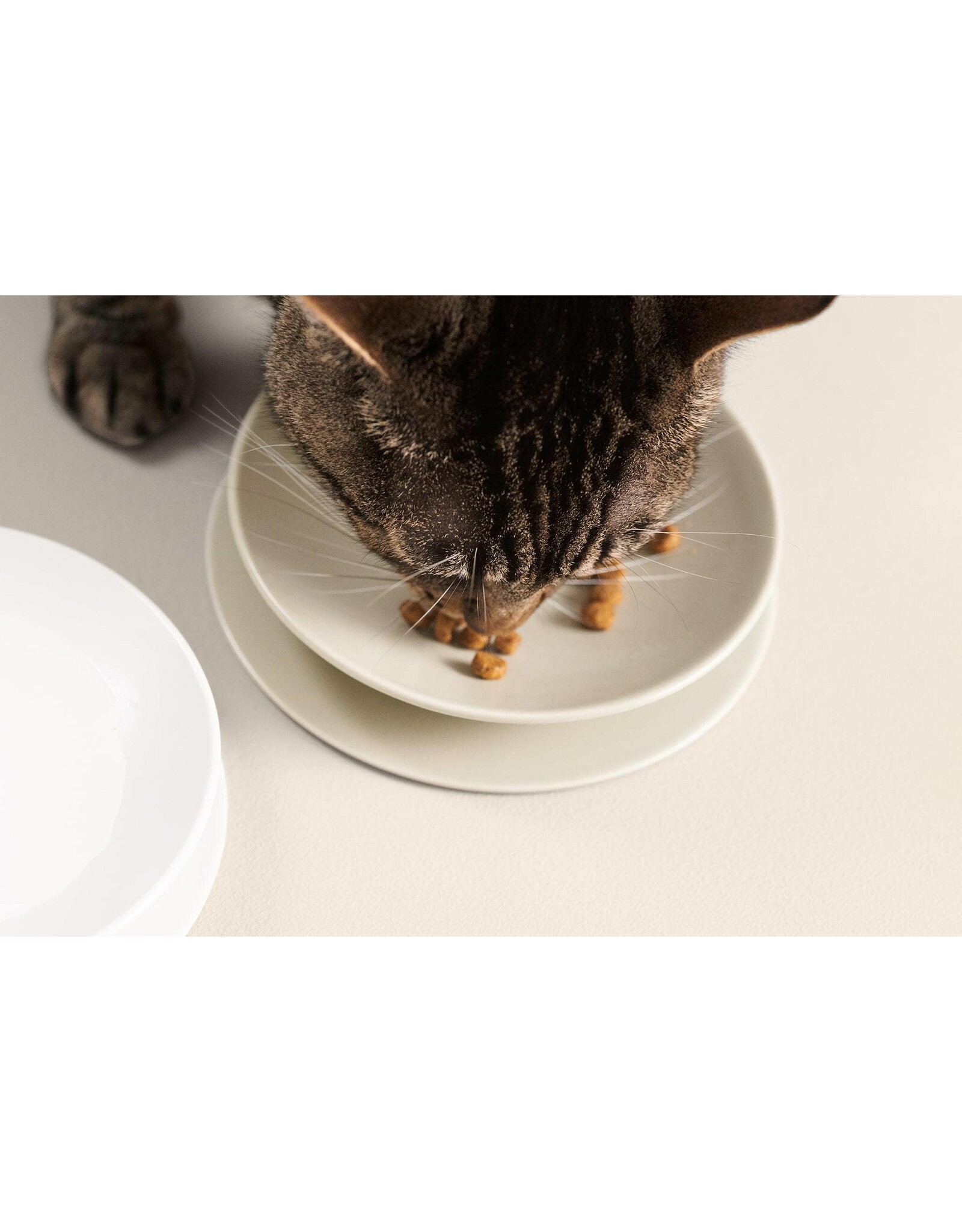 Tuft + Paw Little Dip Cat Bowl