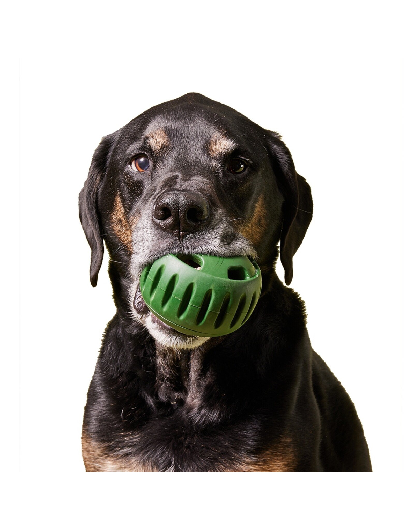 Woof The Pupsicle (3 Sizes)