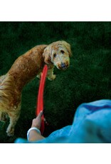 Nite-Ize Nite Ize Nitedog® Rechargeable LED Leash