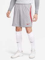 NIKE LIVERPOOL FC STRIKE SHORT