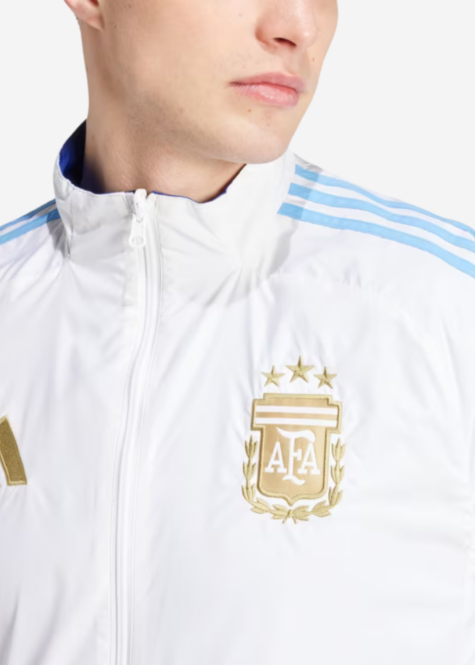 ADIDAS AFA ARGENTINA ANTHEM JACKET