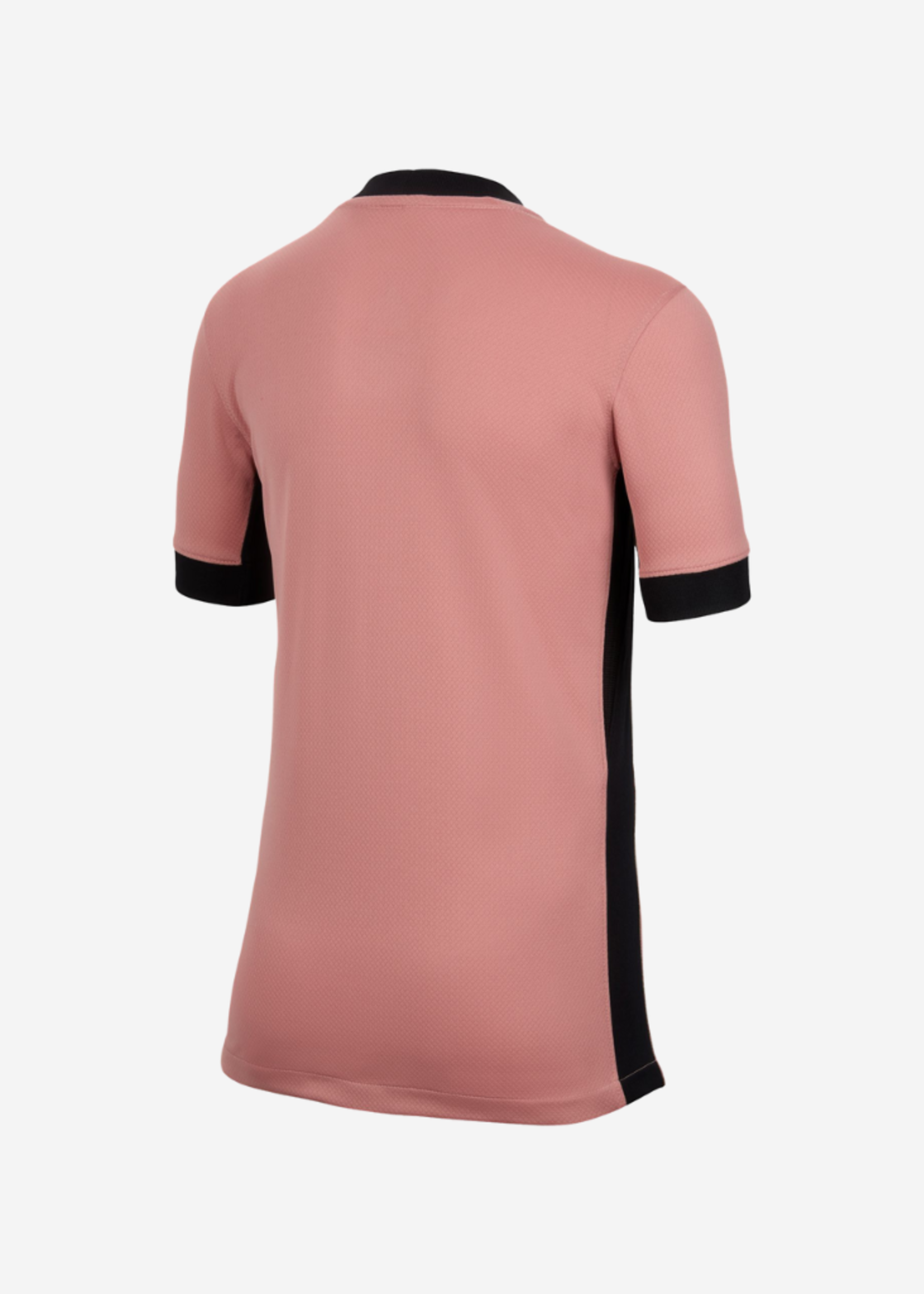 NIKE Paris Saint-Germain 2024/25 Stadium Third RUST PINK/BLACK FQ2254-686