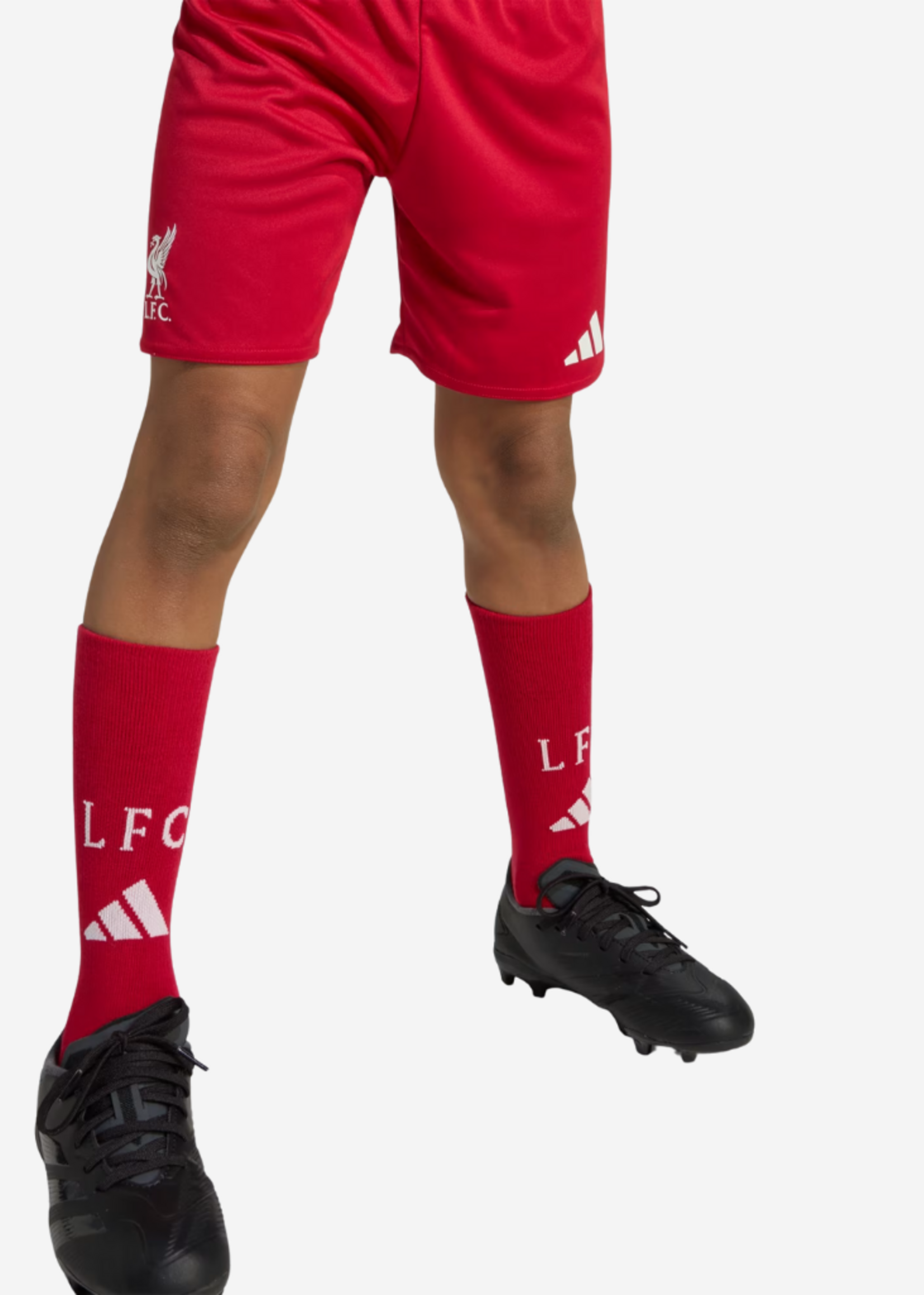 ADIDAS LFC LIVERPOOL H MINI RED JV6442