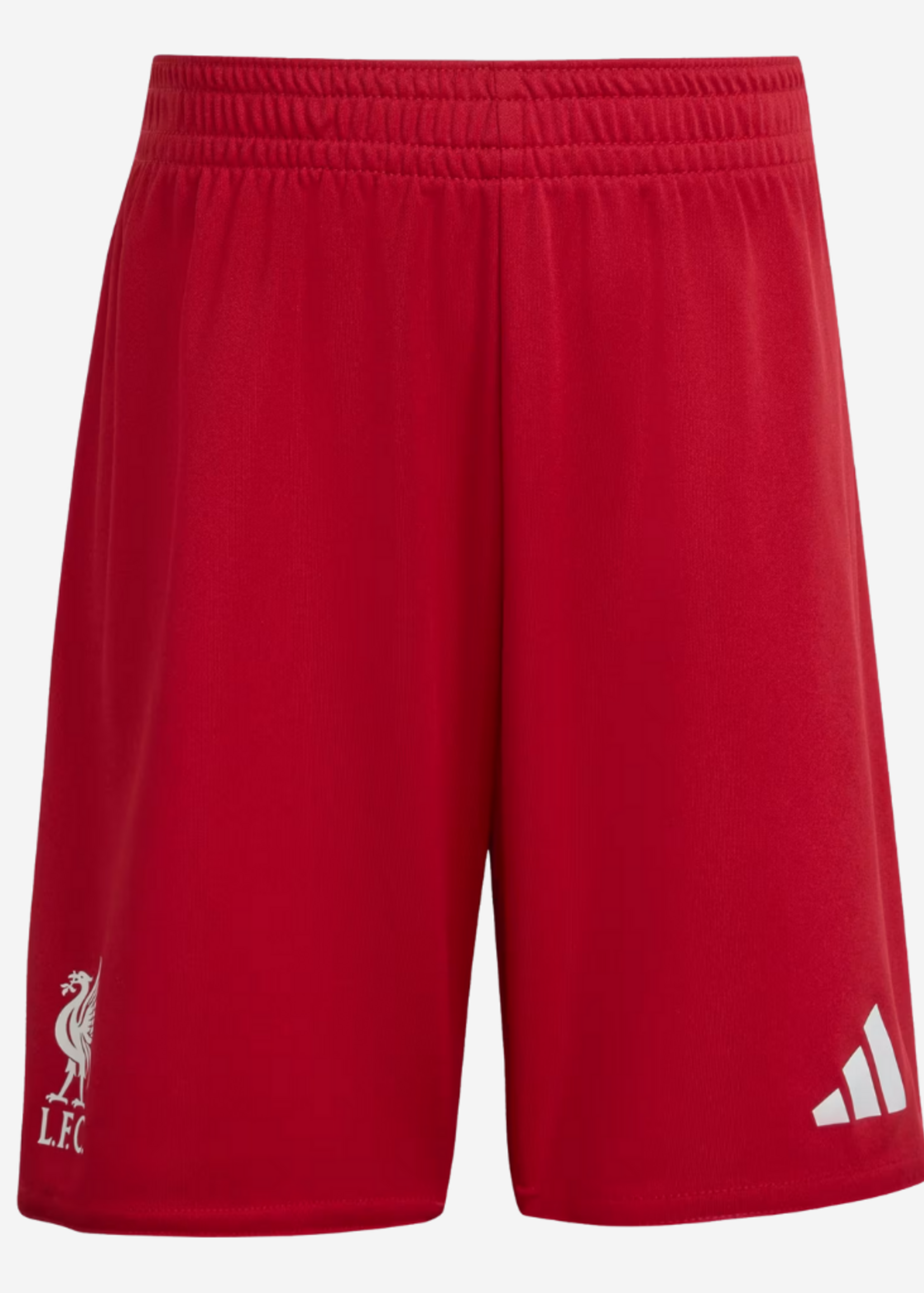 ADIDAS LFC LIVERPOOL H MINI RED JV6442