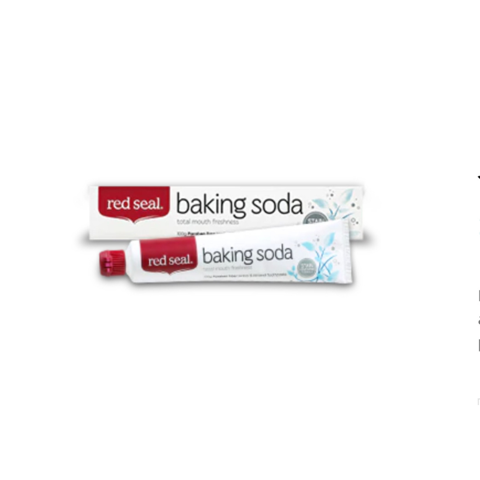 Red Seal Natural Health Products Red Seal Toothpaste Baking Soda 100g toothpaste