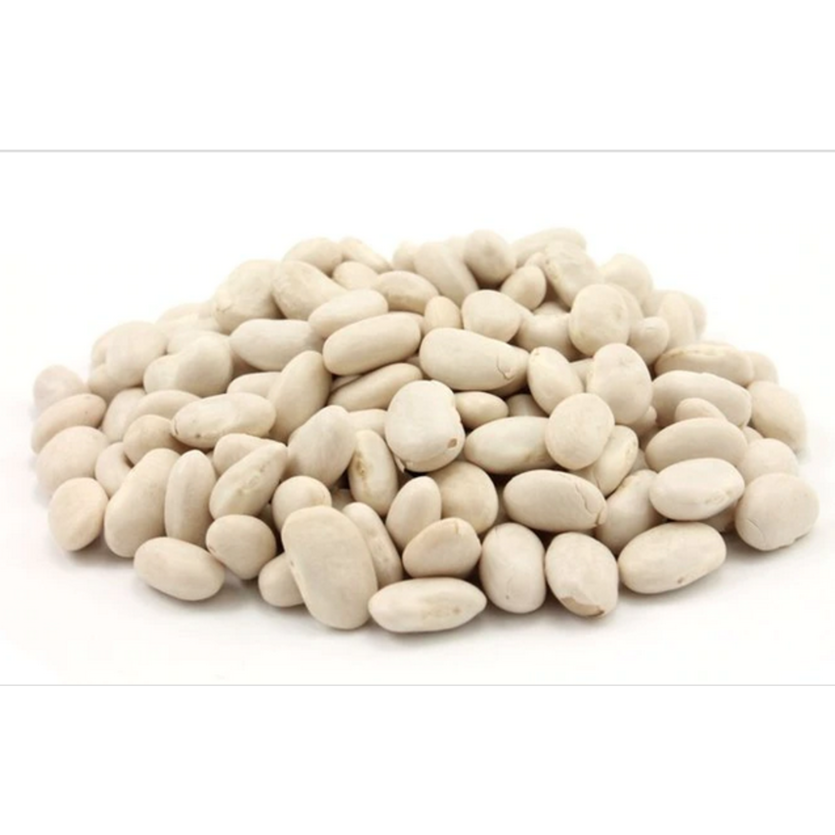 Trumps Trumps PIH Great Northern Beans 500g single