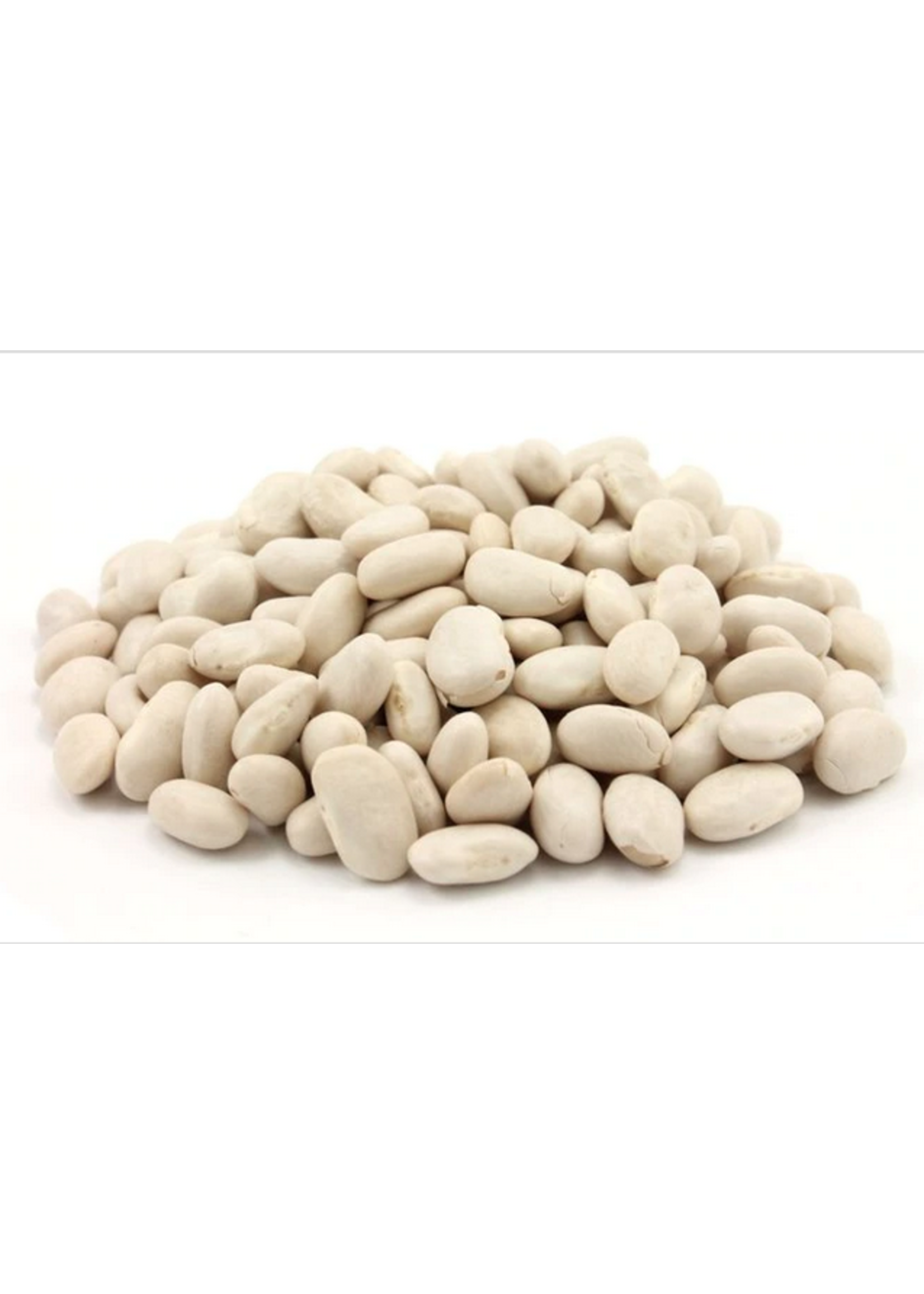 Lewis & trumps Trumps PIH Great Northern Beans 500g single