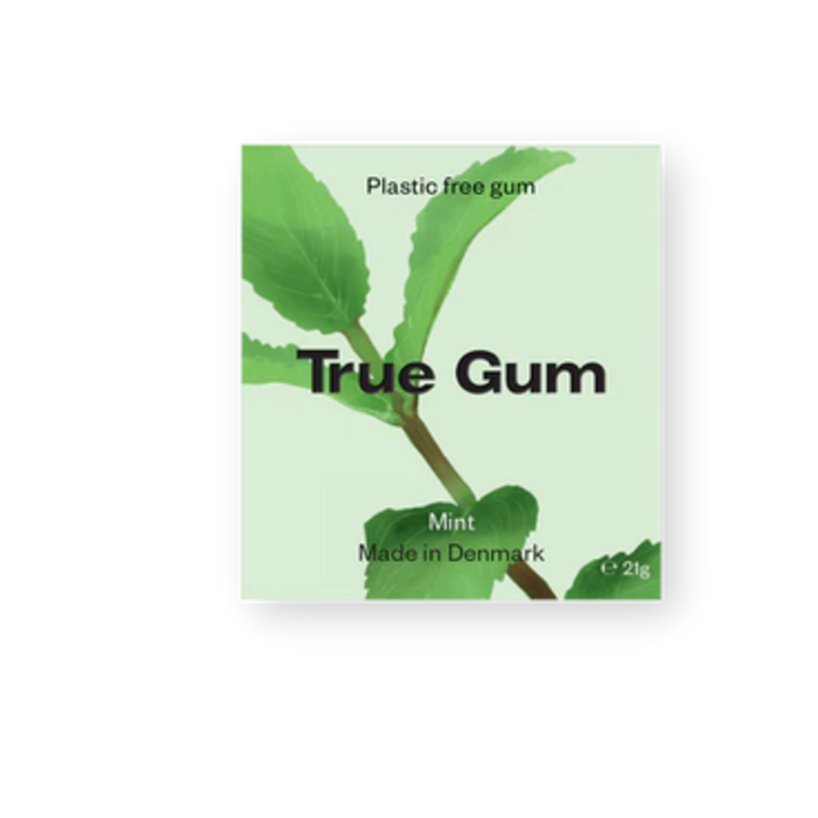 true gum True Gum Mint 21g