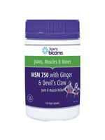 Blooms Blooms MSM 750 with Ginger 1000mg & Devils Claw capsules