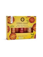 Song of India Song of India Essential Oil Gift Box Set of 3 x 5ml bottles - Citrus Blast (Sweet Orange, Energize, Moroccan Spice)