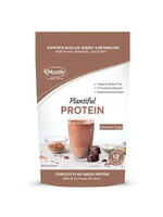 MORLIFE Morlife Plantiful Protein  Chocolate Fudge 440gms