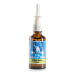Allan K Suttons Allan K Suttons Colloidal Silver Nasal Spray 50ml