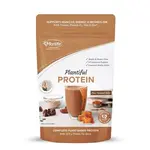 MORLIFE Morlife Plantiful Protein Caramel Swirl 440gms