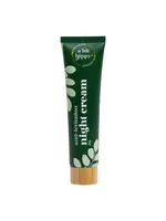 A Bit Hippy A  Bit Hippy Night Cream 60g