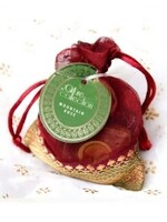 Allure Allure Cone Mountain Rose Gift x 20 cones