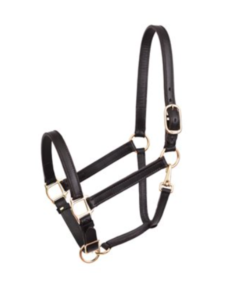 Leather Halter