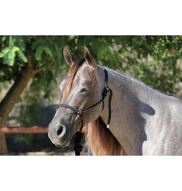 Professionals Choice Rope Halter with 10' Lead