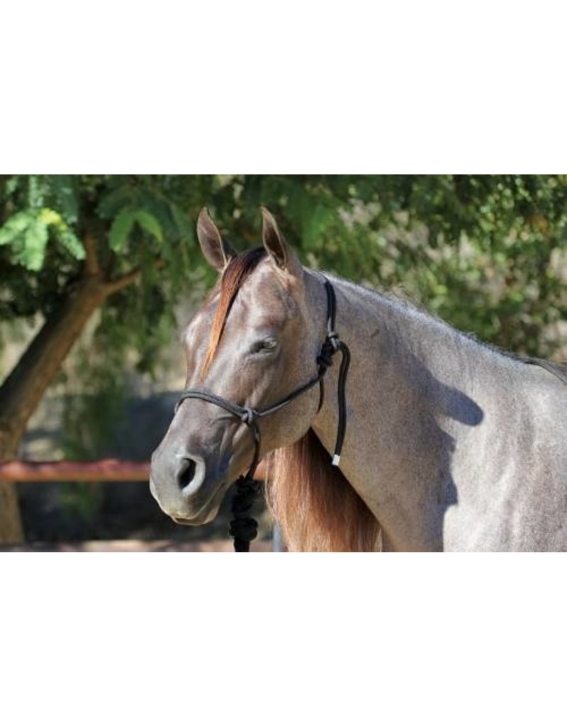 Professionals Choice Rope Halter with 10' Lead
