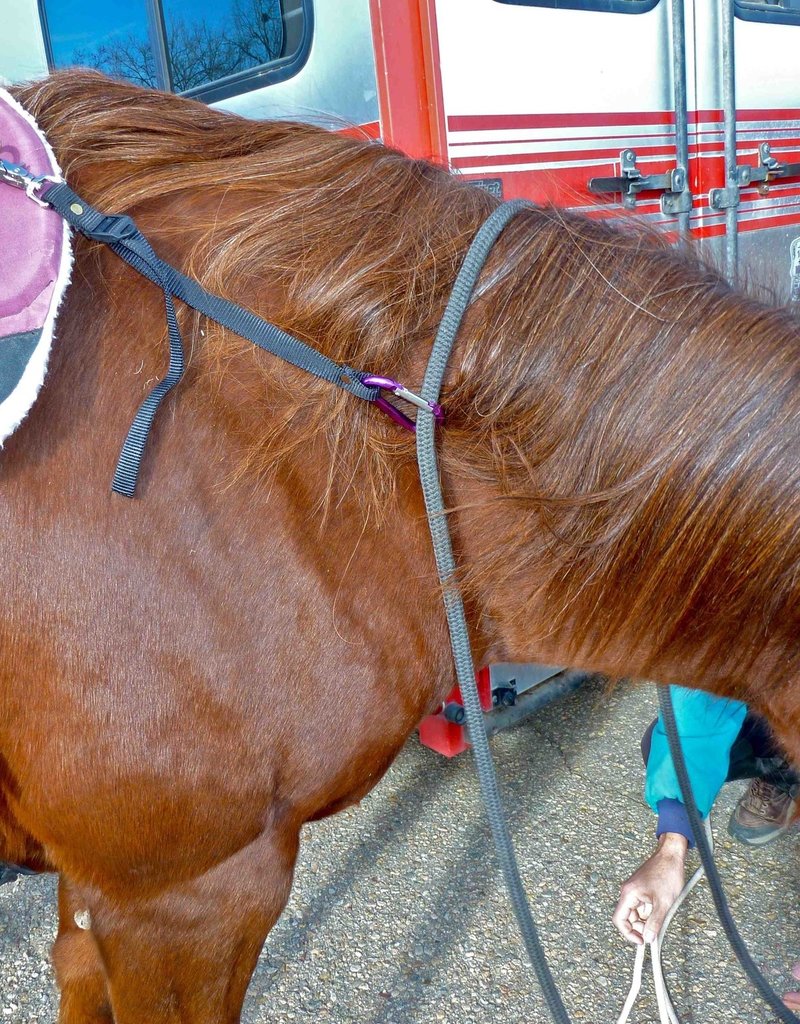 Max Tack 3/4" Rein Safe Happy Horse Tack Shop