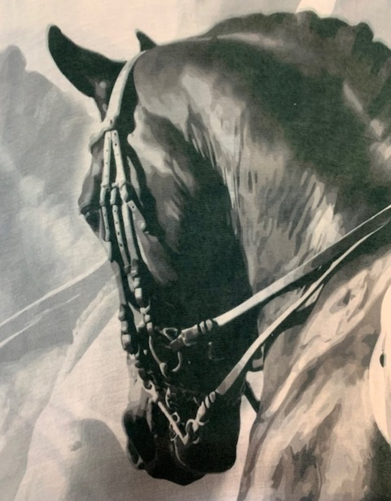 Noble Haus Face Shield - Happy Horse Tack Shop