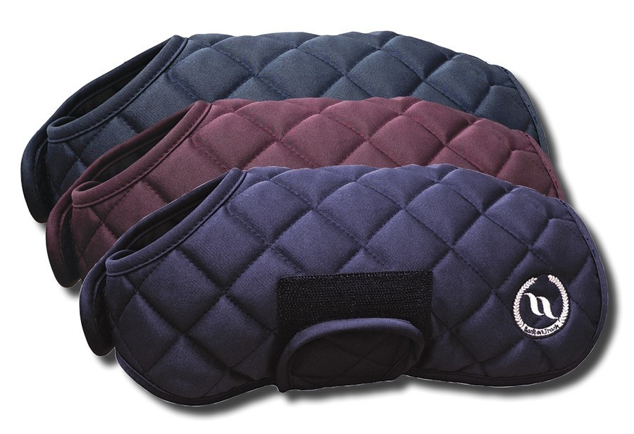 back on track dog bed