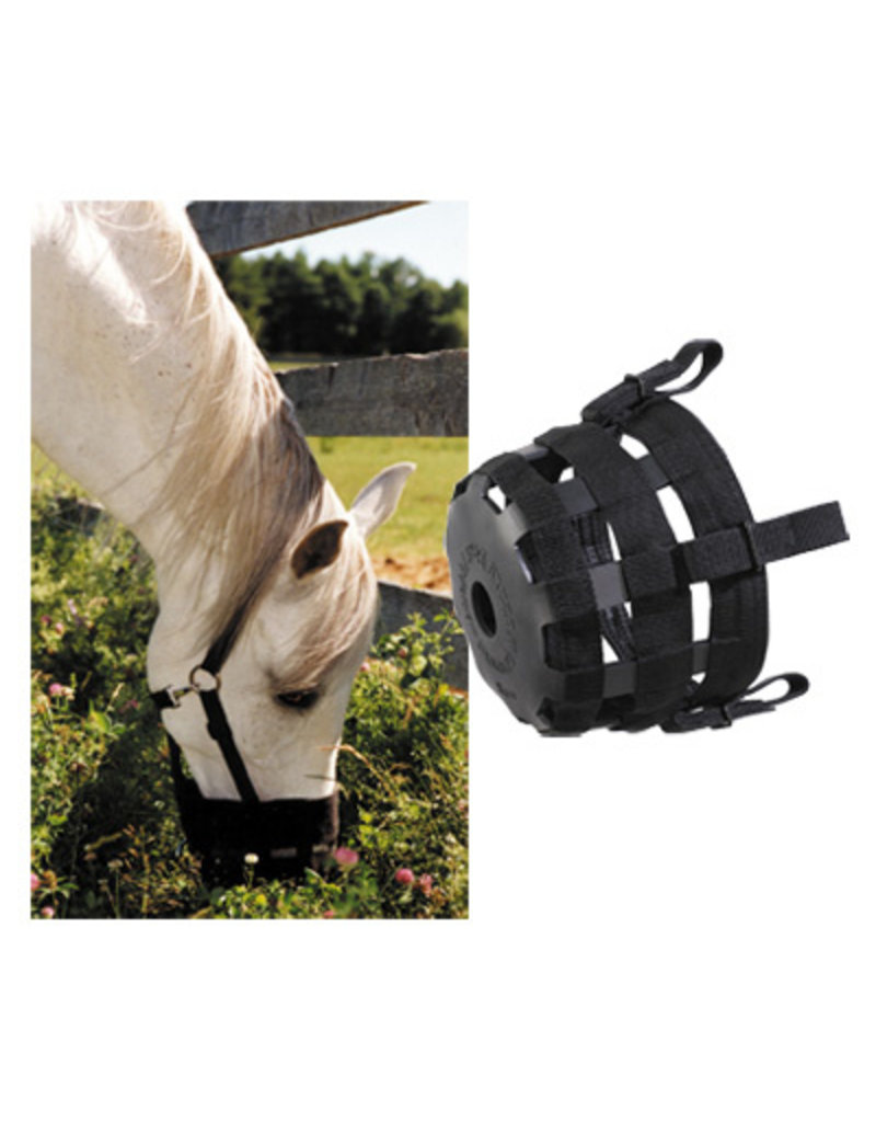 grazing muzzle for dogs