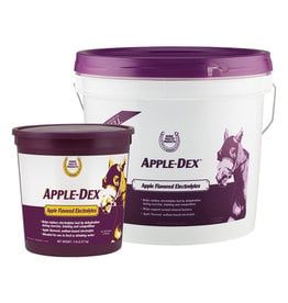 Horse Health Products 5 lb Apple Dex Electrolytes