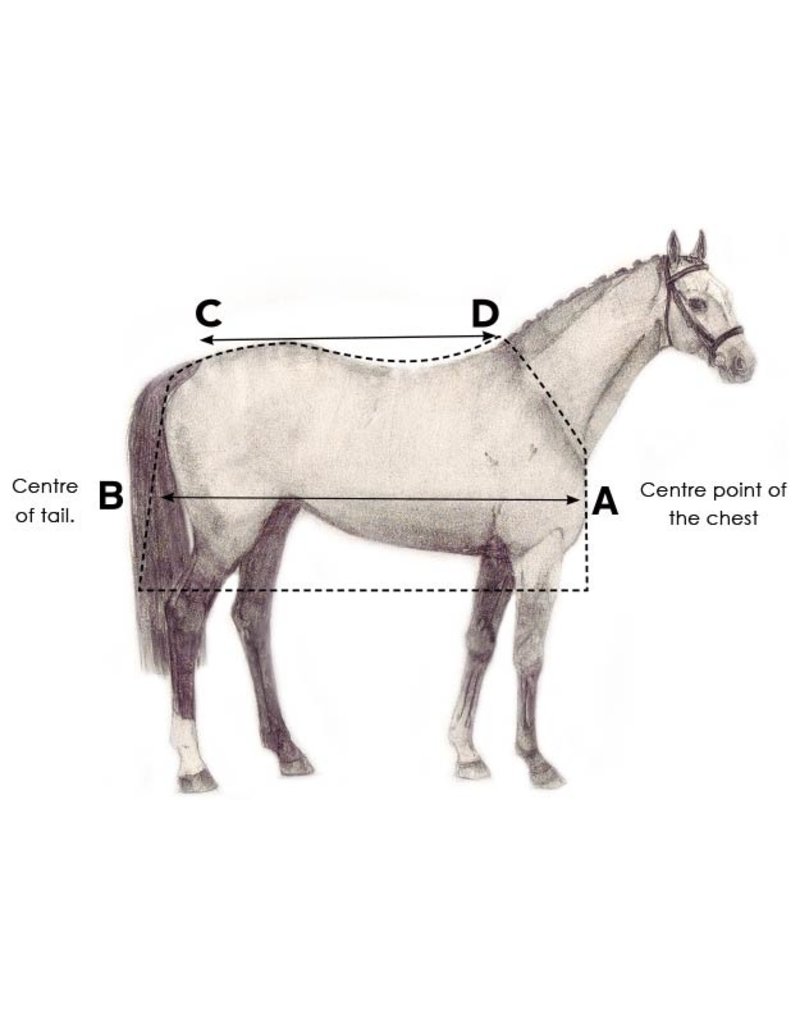 Horseware Amigo Bravo 12 100g Turnout