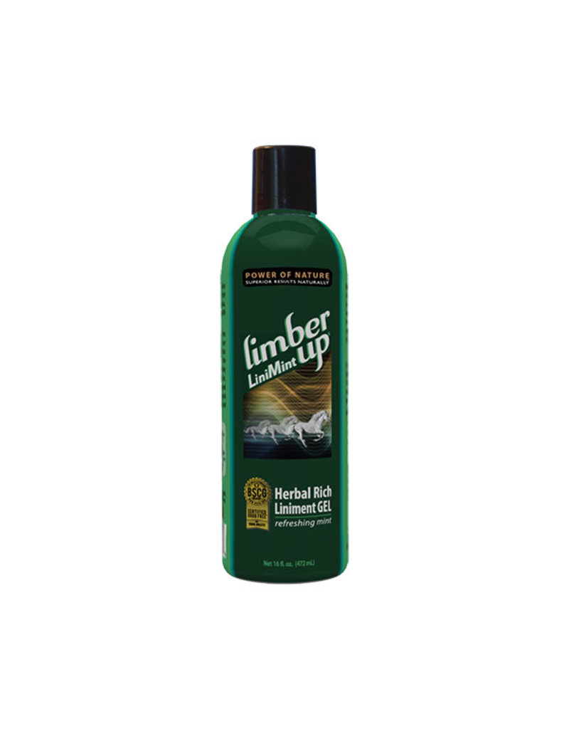 Back On Track Limber Up Gel 16oz