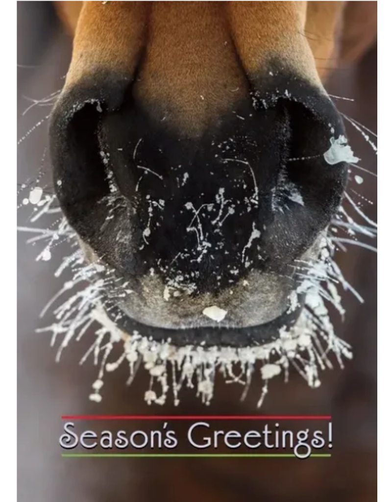 Horse Hollow Press Christmas Greeting Card