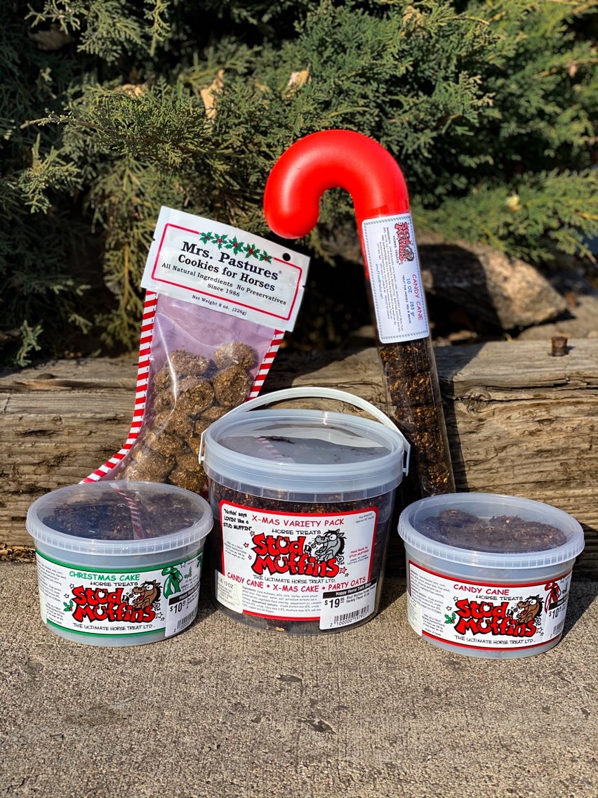 Gift Ideas for Equines Under $25
