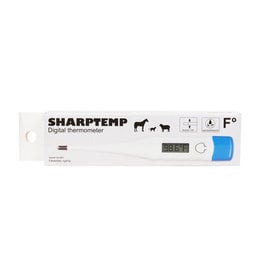 RJ Matthews Digital Thermometer