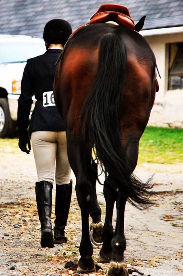 Tack Shack - Hearts Riding