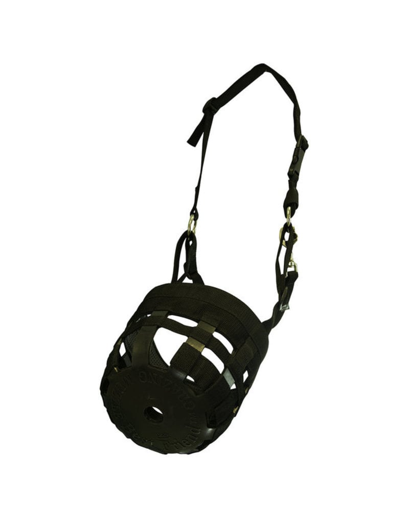 Best horse muzzle top