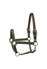 Perris Nylon Safety Halter