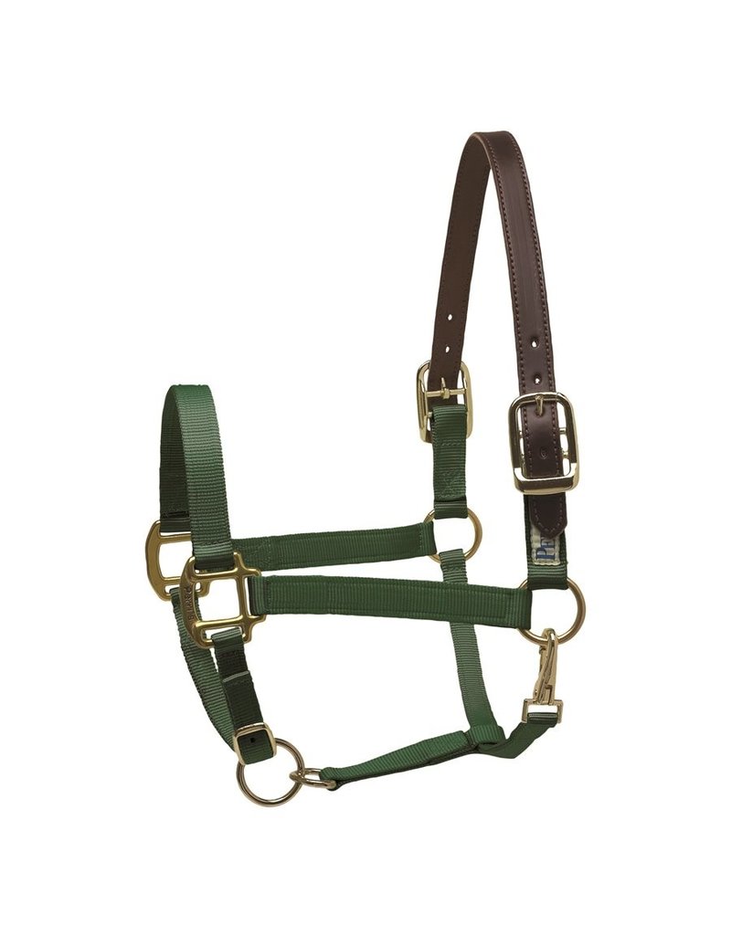 Perris Nylon Safety Halter