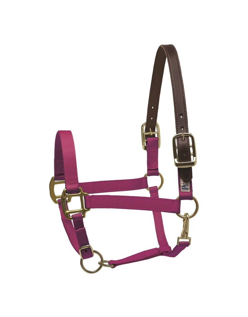 Perris Nylon Safety Halter