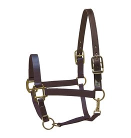 Leather Halter with Metallic Color Padding Perri's Leather - Halters, Halters Leads