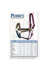 Perris Nylon Safety Halter