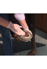 Hooflex Magic Cushion Hoof Packing