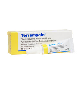 Zoetis Terramycin Ophthalmic Ointment