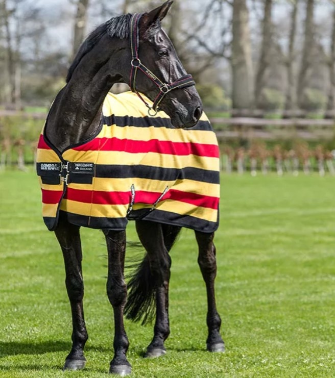 Horseware Rambo Deluxe Fleece Happy Horse Tack Shop