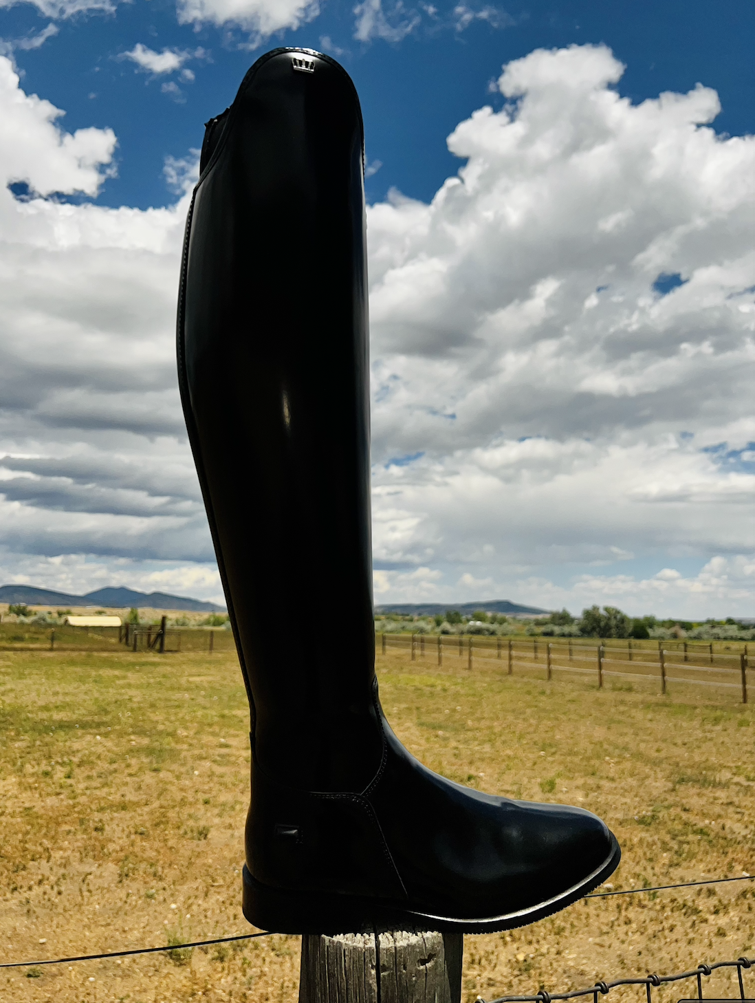 The Rider's Guide to Horse Boots – Farm House Tack