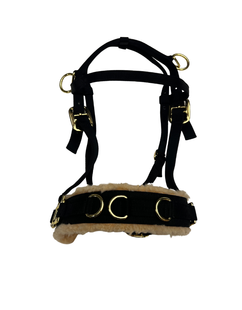 CNT 2452Q Triple E Lunging Cavesson Black Extra Full Happy Horse Tack