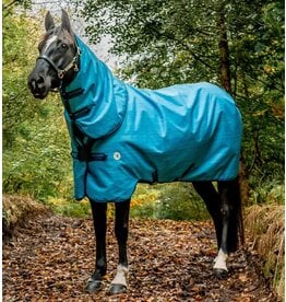 Horseware Amigo Hero 900 Revive Plus Turnout Medium