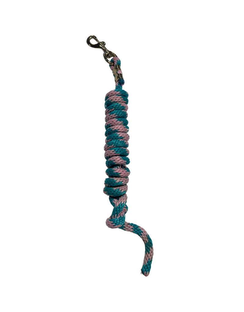 Lead Rope Pink/Teal Stripe