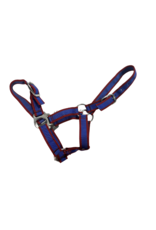 Nylon Halter Blue/Red Small Pony