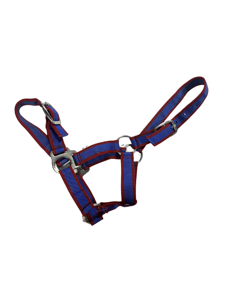 Nylon Halter Blue/Red Small Pony