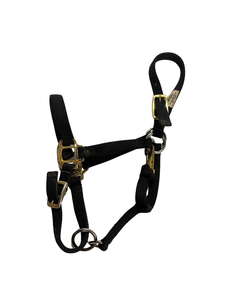 Weaver Nylon Halter Black Pony